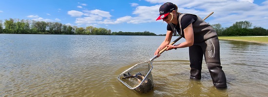 Meldpunt vissterfte of vissen in nood